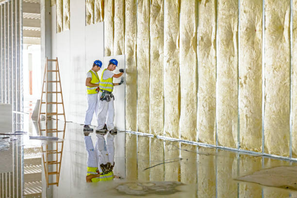 Best DIY Insulation Kits and Guidance in Captains Cove, VA